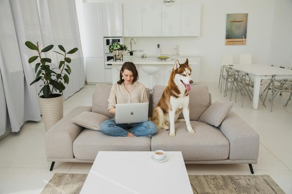 10 Idées Créatives pour Sublimer vos Étagères Décoratives et Maximiser leur Impact